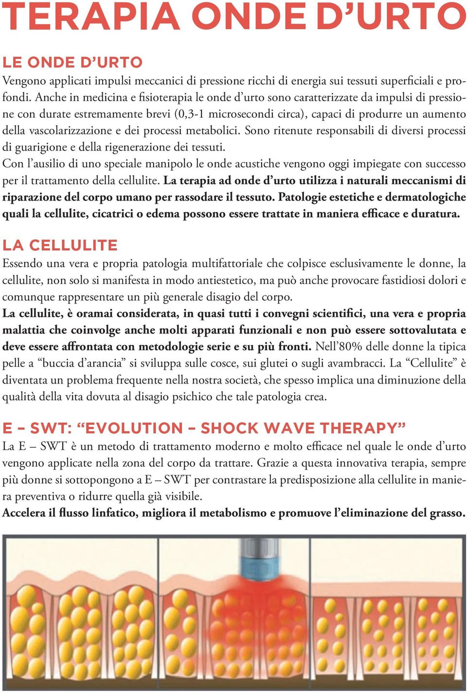 vascolarizzazione e dei processi metabolici. Sono ritenute responsabili di diversi processi di guarigione e della rigenerazione dei tessuti.