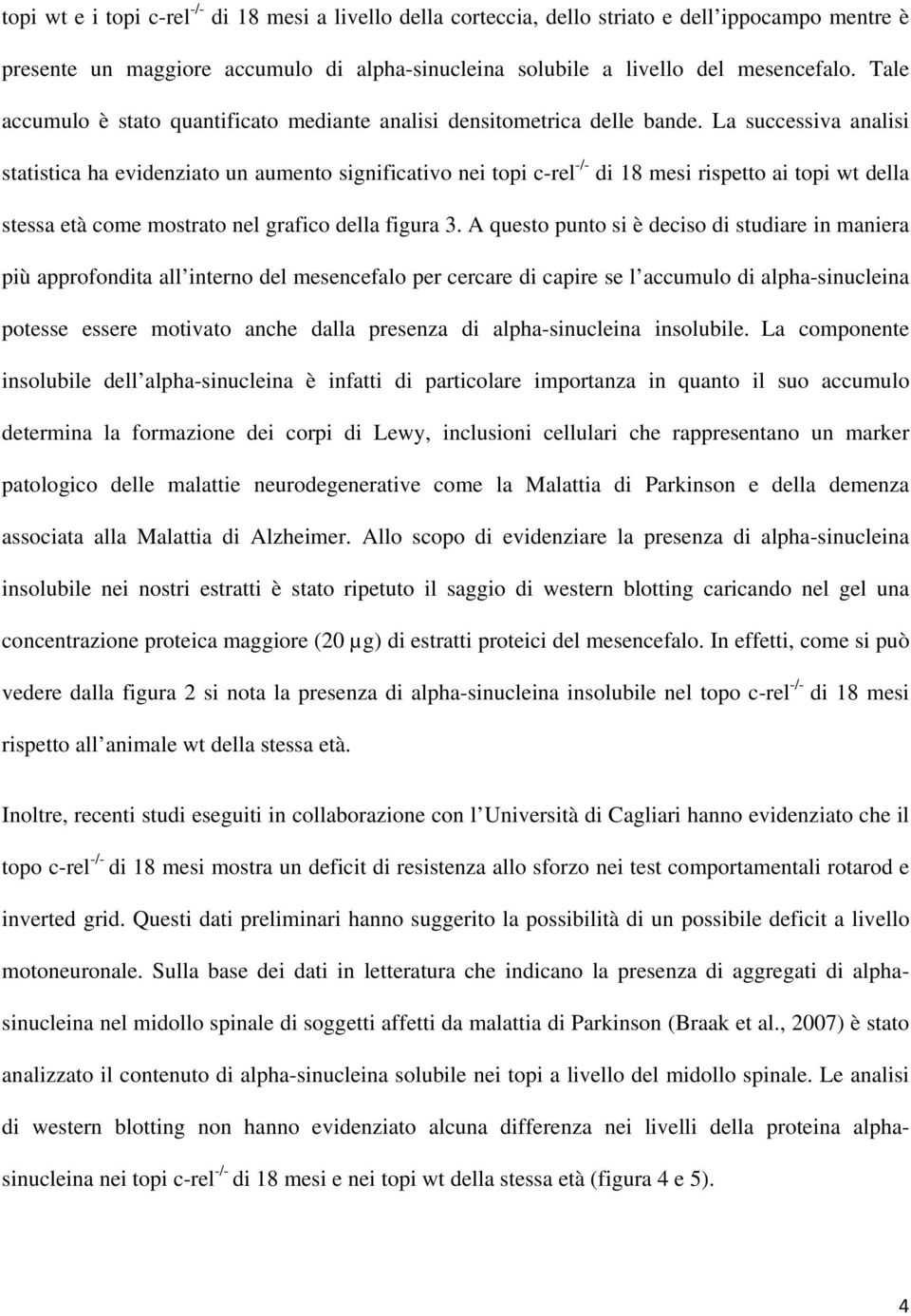 La successiva analisi statistica ha evidenziato un aumento significativo nei topi c-rel -/- di 18 mesi rispetto ai topi wt della stessa età come mostrato nel grafico della figura 3.