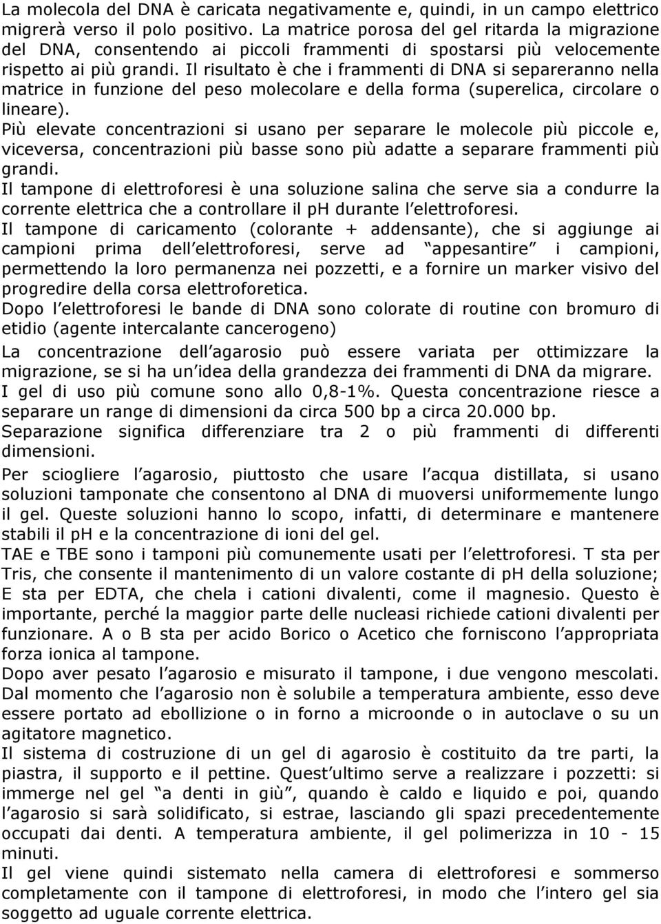 Il risultato è che i frammenti di DNA si separeranno nella matrice in funzione del peso molecolare e della forma (superelica, circolare o lineare).