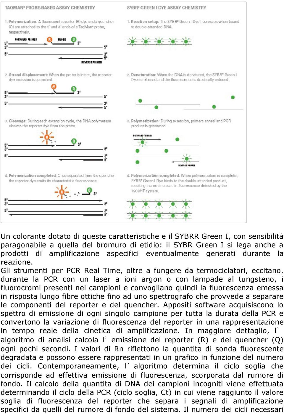 Gli strumenti per PCR Real Time, oltre a fungere da termociclatori, eccitano, durante la PCR con un laser a ioni argon o con lampade al tungsteno, i fluorocromi presenti nei campioni e convogliano