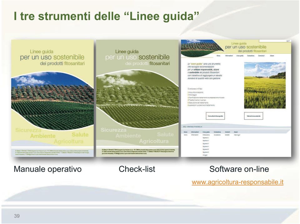 Check-list Software on-line