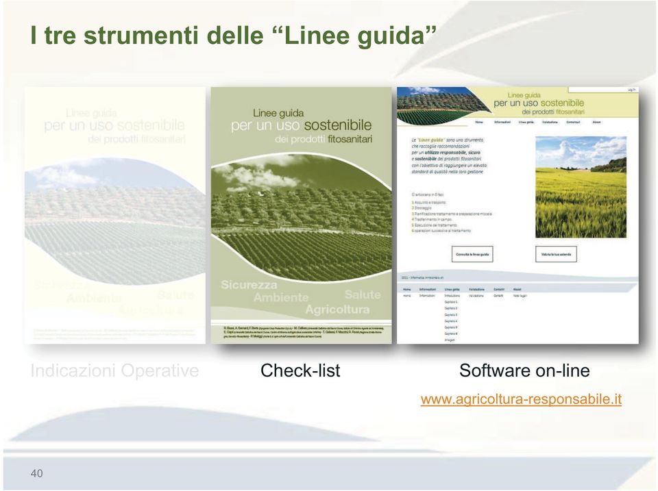 Check-list Software on-line