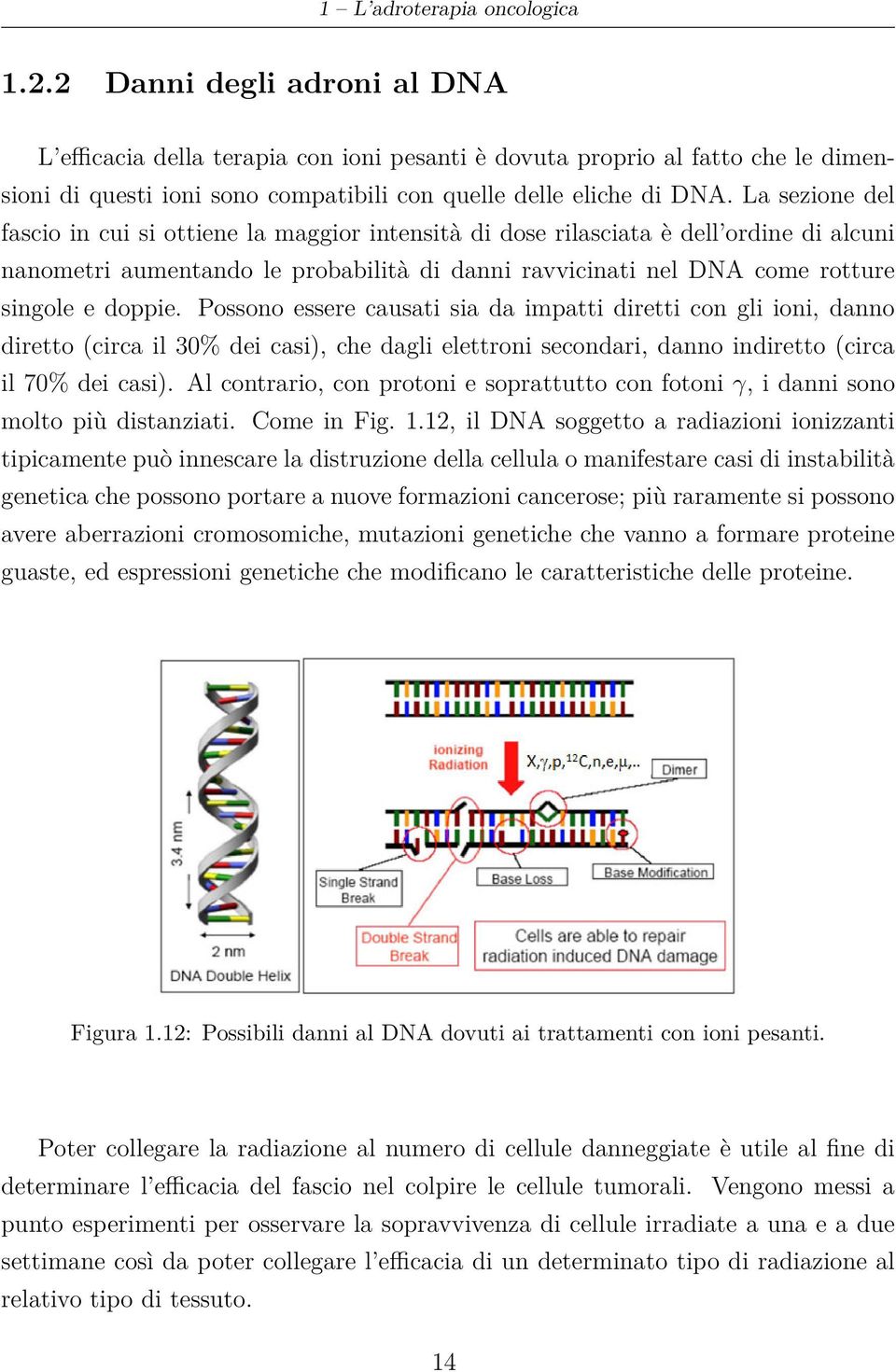 La sezione del fascio in cui si ottiene la maggior intensità di dose rilasciata è dell ordine di alcuni nanometri aumentando le probabilità di danni ravvicinati nel DNA come rotture singole e doppie.