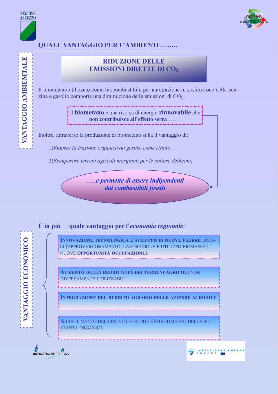 emissioni di CO 2. Il biometano è una risorsa di energia rinnovabile che non contribuisce all effetto serra.