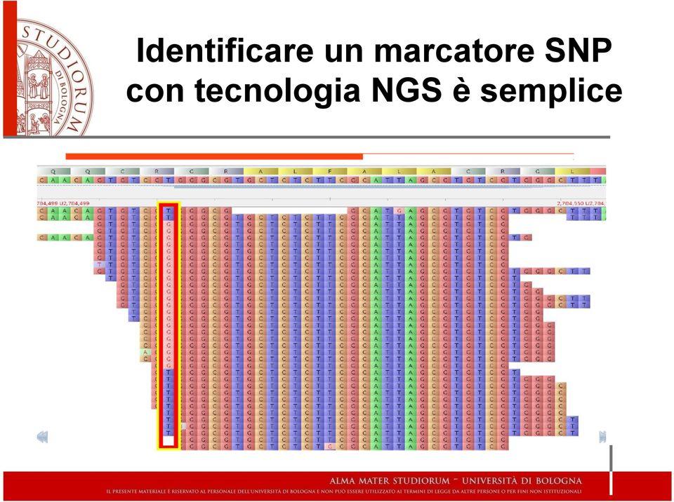 SNP con