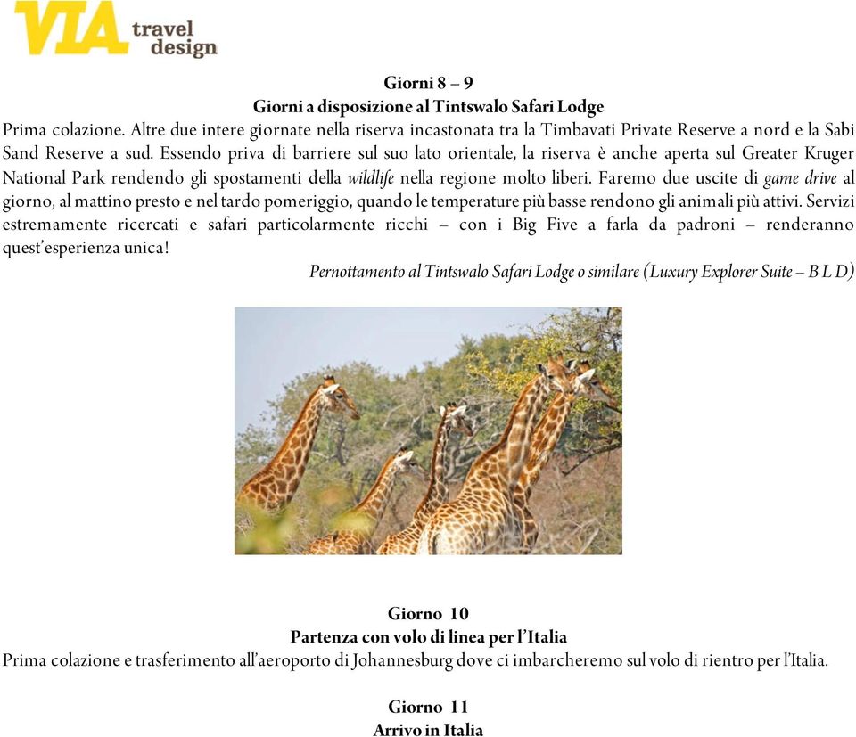 Faremo due uscite di game drive al giorno, al mattino presto e nel tardo pomeriggio, quando le temperature più basse rendono gli animali più attivi.