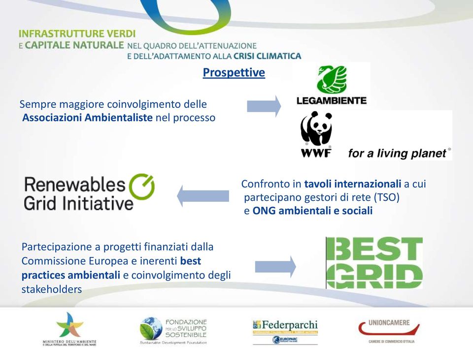 (TSO) e ONG ambientali e sociali Partecipazione a progetti finanziati dalla