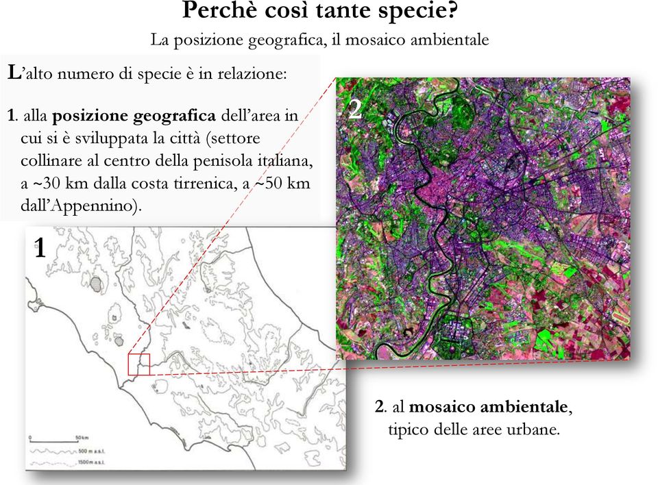 alla posizione geografica dell area in cui si è sviluppata la città (settore collinare