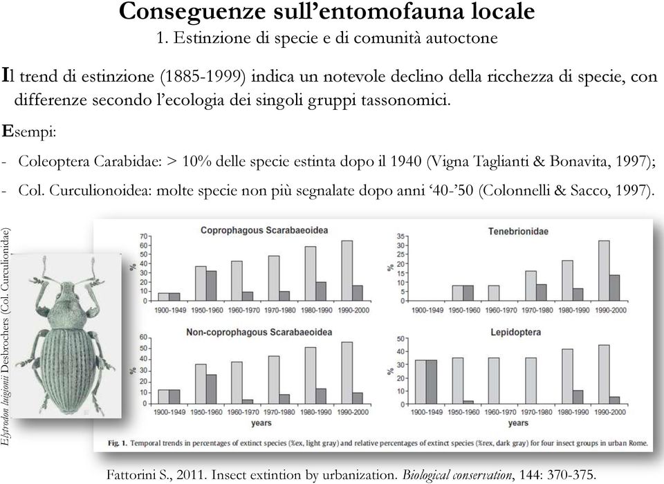 differenze secondo l ecologia dei singoli gruppi tassonomici.