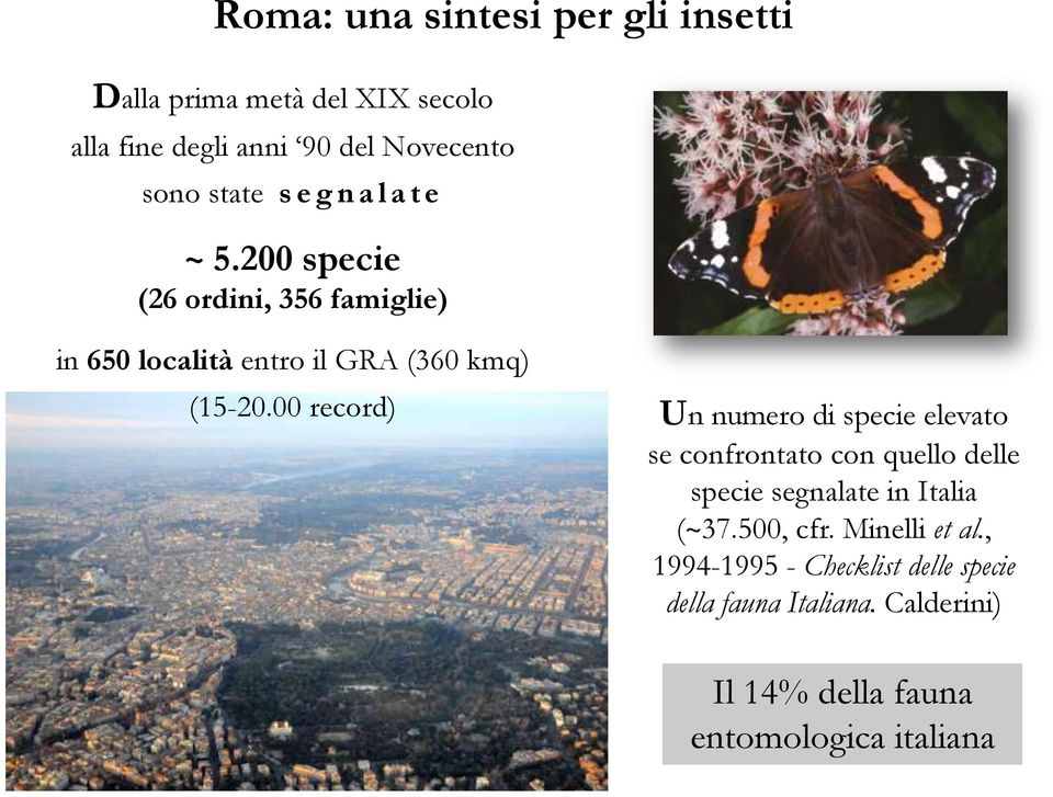 00 record) Un numero di specie elevato se confrontato con quello delle specie segnalate in Italia (~37.500, cfr.