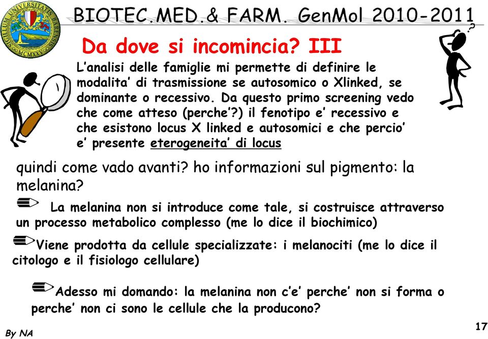 ) il fenotipo e recessivo e che esistono locus X linked e autosomici e che percio e presente eterogeneita di locus quindi come vado avanti? ho informazioni sul pigmento: la melanina?