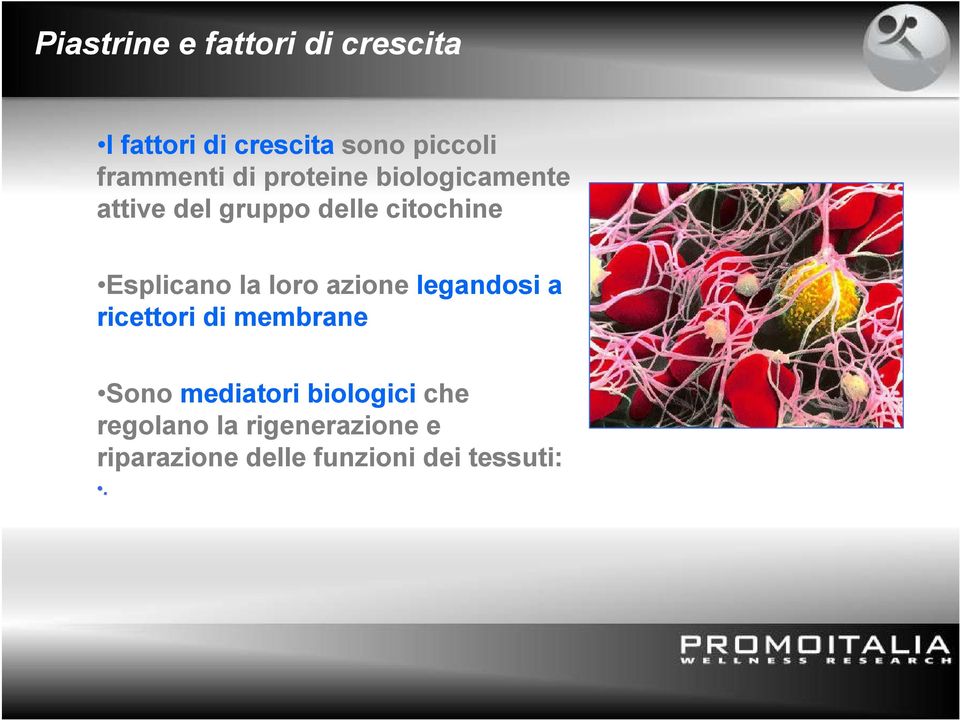 Esplicano la loro azione legandosi a ricettori di membrane Sono mediatori