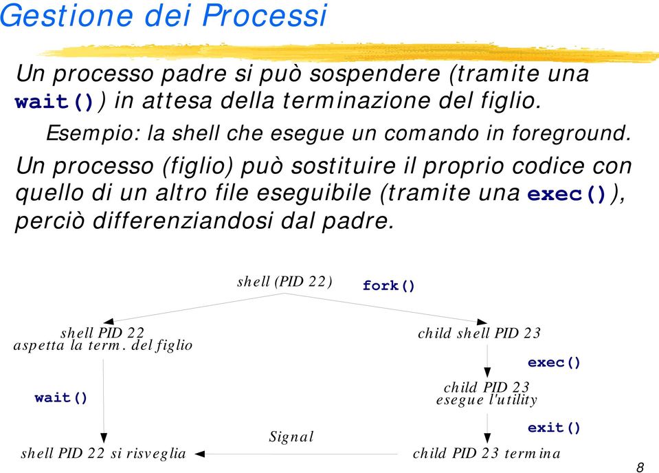 Un processo (figlio) può sostituire il proprio codice con quello di un altro file eseguibile (tramite una exec()), perciò