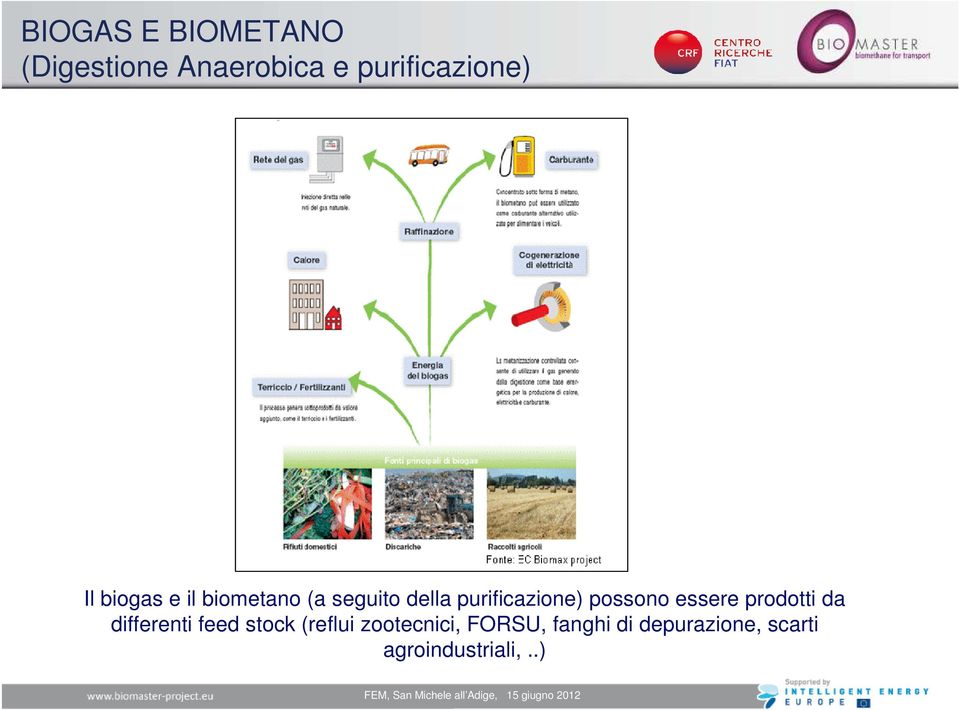 possono essere prodotti da differenti feed stock (reflui