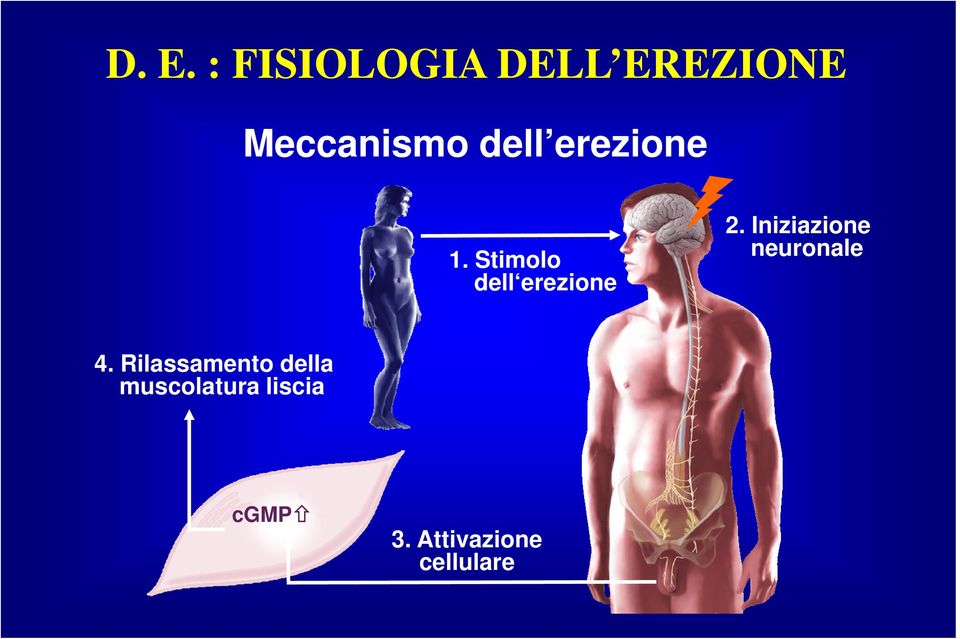 Iniziazione neuronale 4.