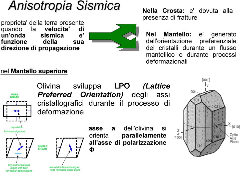 preferenziale dei cristalli durante un flusso mantellico o durante processi deformazionali Olivina sviluppa LPO (Lattice Preferred