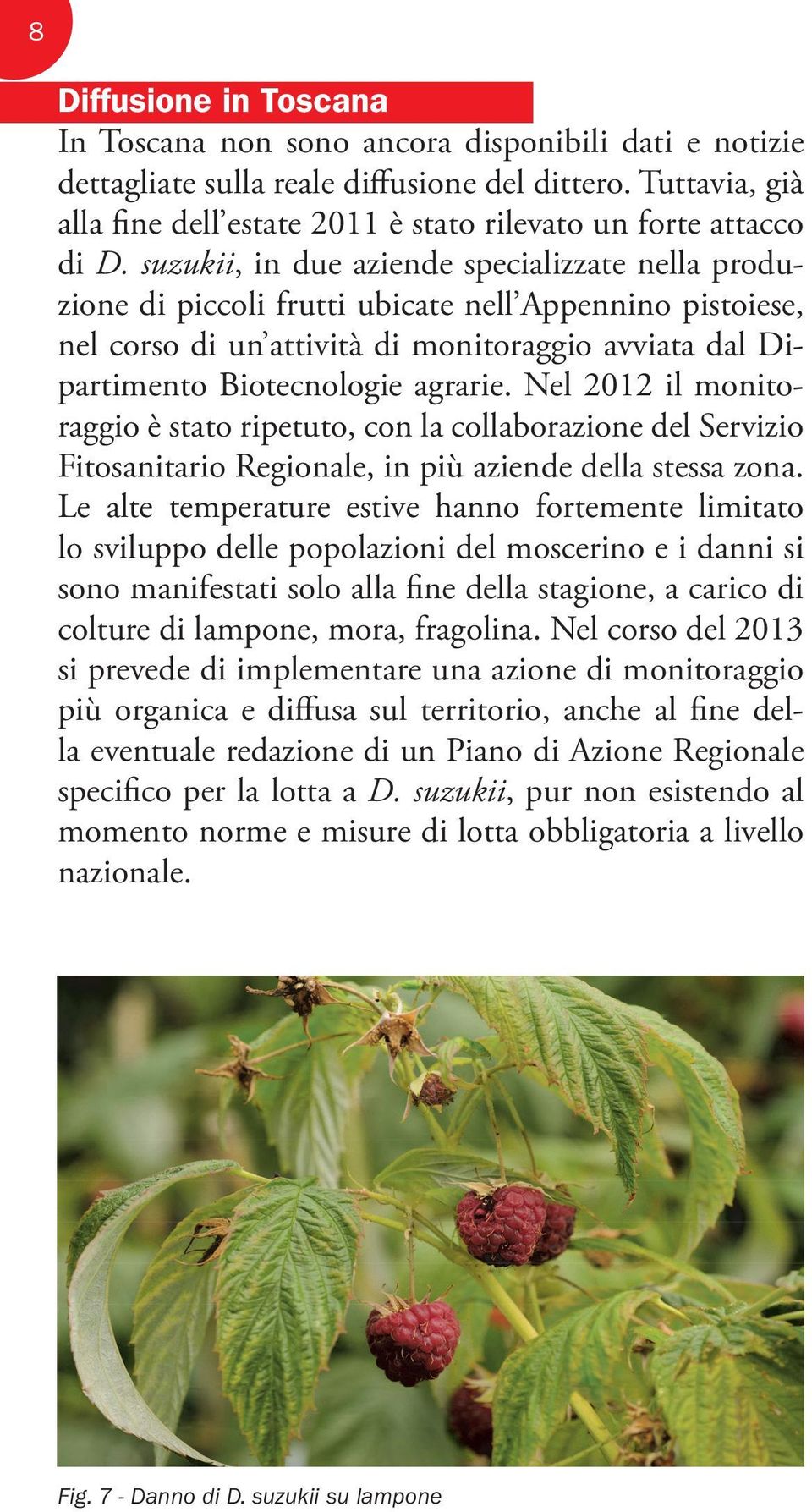 suzukii, in due aziende specializzate nella produzione di piccoli frutti ubicate nell Appennino pistoiese, nel corso di un attività di monitoraggio avviata dal Dipartimento Biotecnologie agrarie.