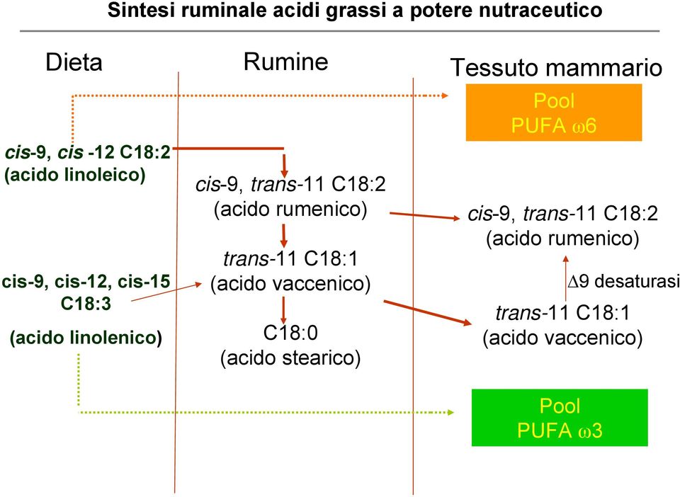 rumenico) trans-11 C18:1 (acido vaccenico) C18:0 (acido stearico) Tessuto mammario Pool PUFA