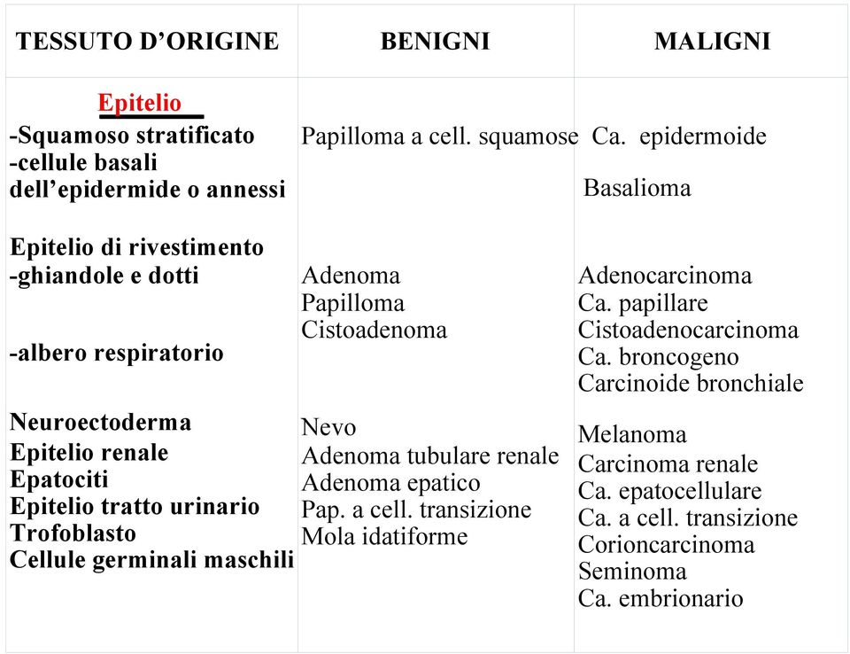 Trofoblasto Cellule germinali maschili Adenoma Papilloma Cistoadenoma Nevo Adenoma tubulare renale Adenoma epatico Pap. a cell.