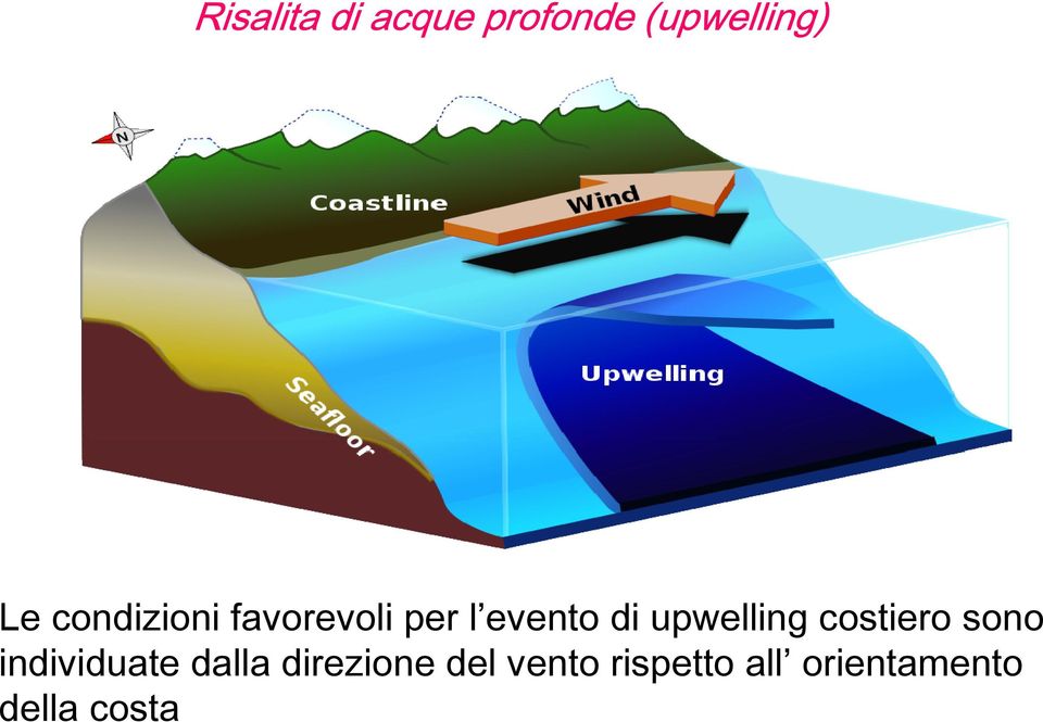 upwelling costiero sono individuate dalla