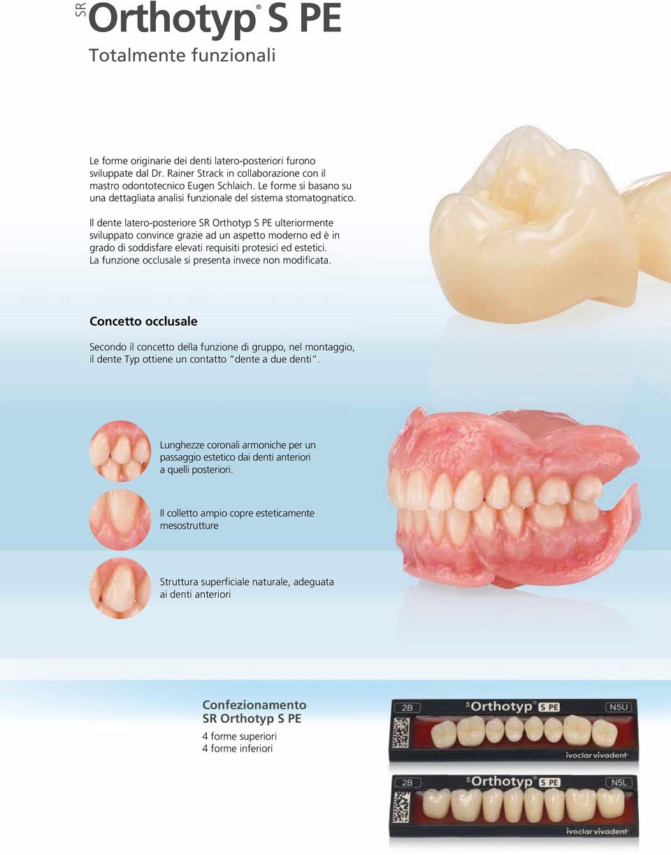 Il dente latero-posteriore SR Orthotyp S PE ulteriormente sviluppato convince grazie ad un aspetto moderno ed è in grado di soddisfare elevati requisiti protesici ed estetici.