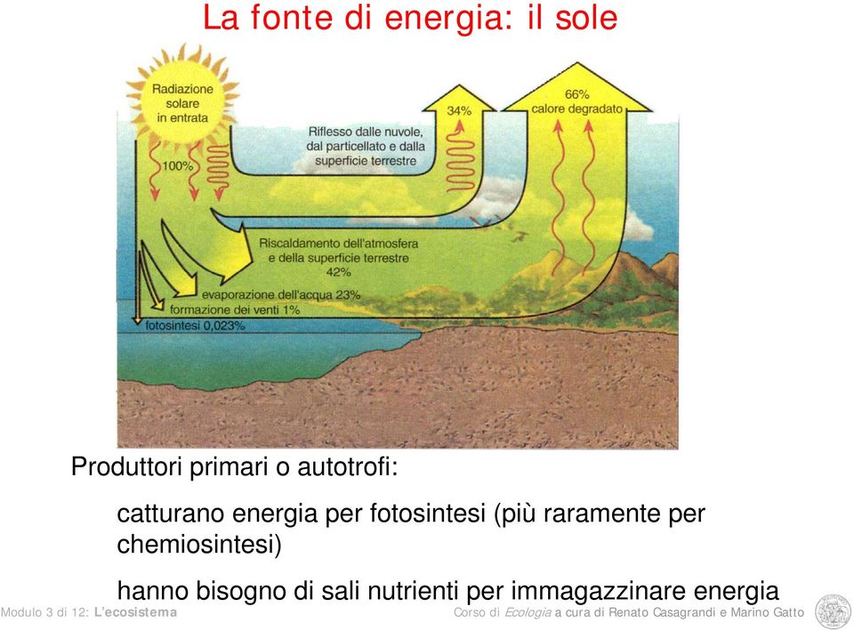 fotosintesi (più raramente per chemiosintesi)