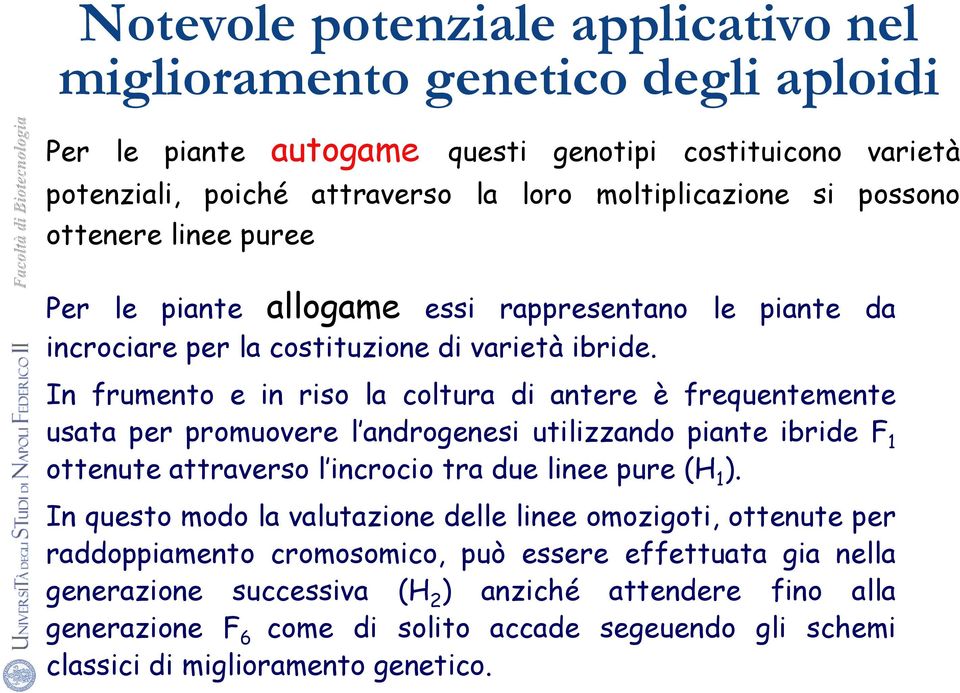 In frumento e in riso la coltura di antere è frequentemente usata per promuovere l androgenesi utilizzando piante ibride F 1 ottenute attraverso l incrocio tra due linee pure (H 1 ).