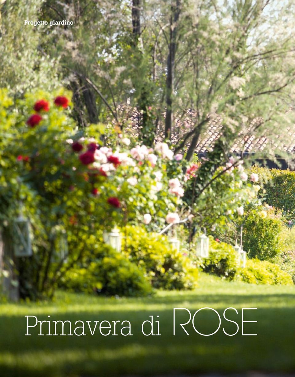 Primavera di