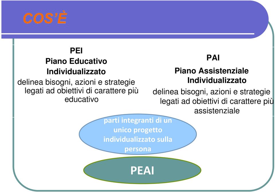 delinea bisogni, azioni e strategie legati ad obiettivi di carattere più