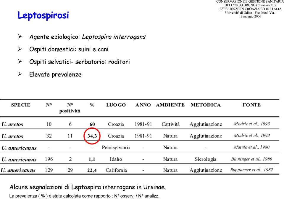 Elevate prevalenze Alcune segnalazioni di Leptospira interrogans in