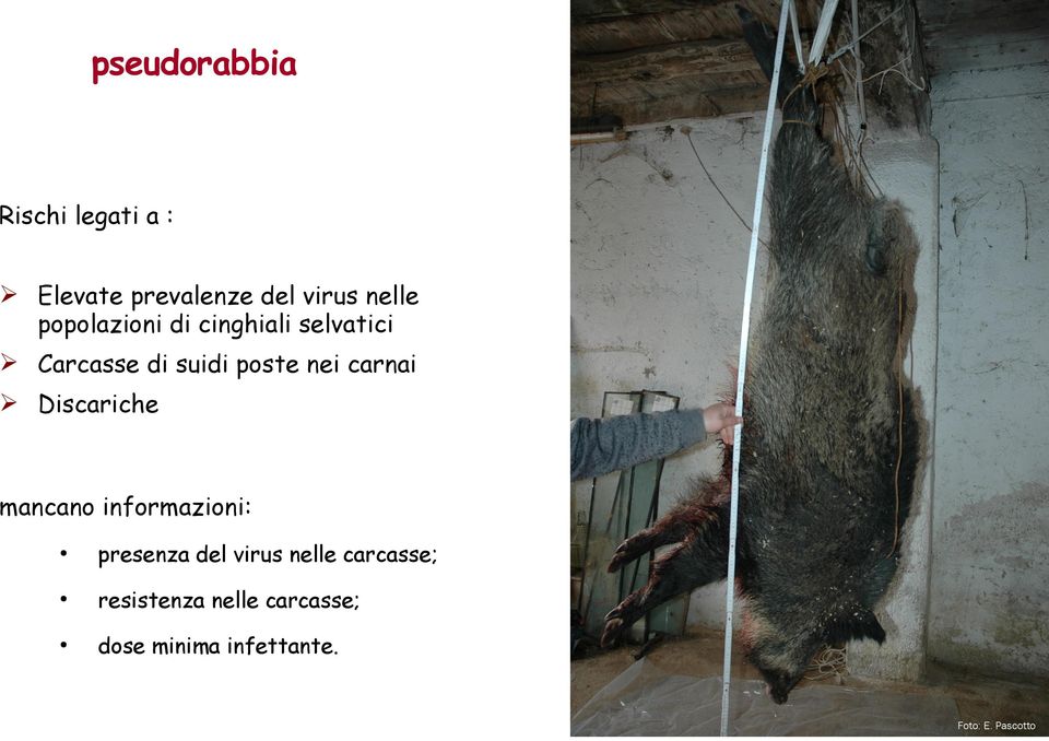 carnai Discariche mancano informazioni: presenza del virus nelle