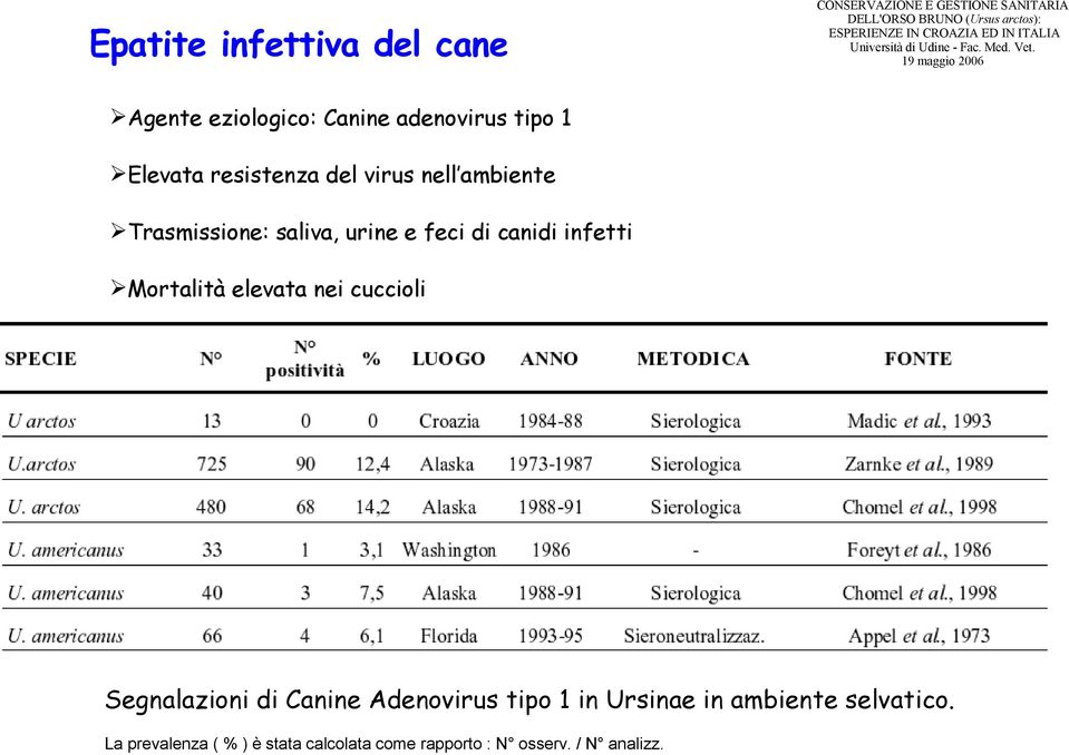 Mortalità elevata nei cuccioli Segnalazioni di Canine Adenovirus tipo 1 in Ursinae in