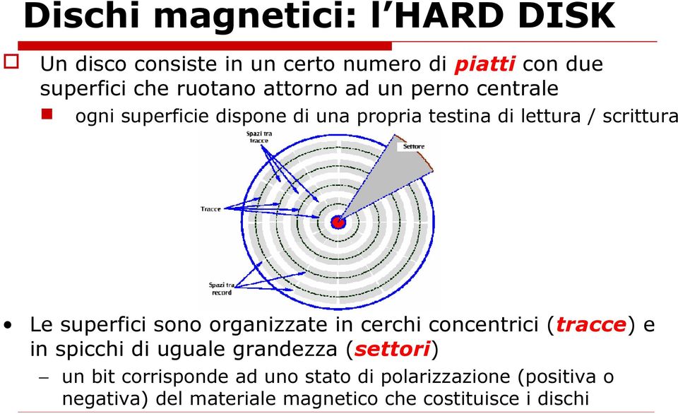 superfici sono organizzate in cerchi concentrici (tracce) e in spicchi di uguale grandezza (settori) un bit