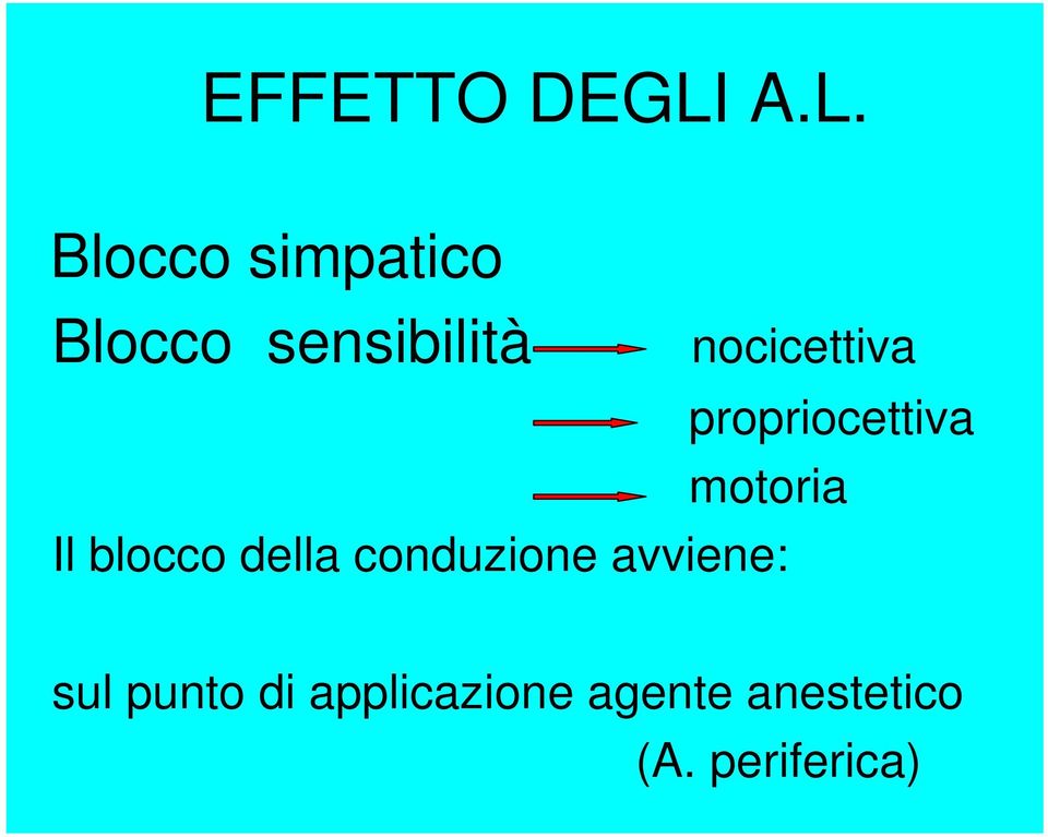 nocicettiva propriocettiva motoria Il blocco