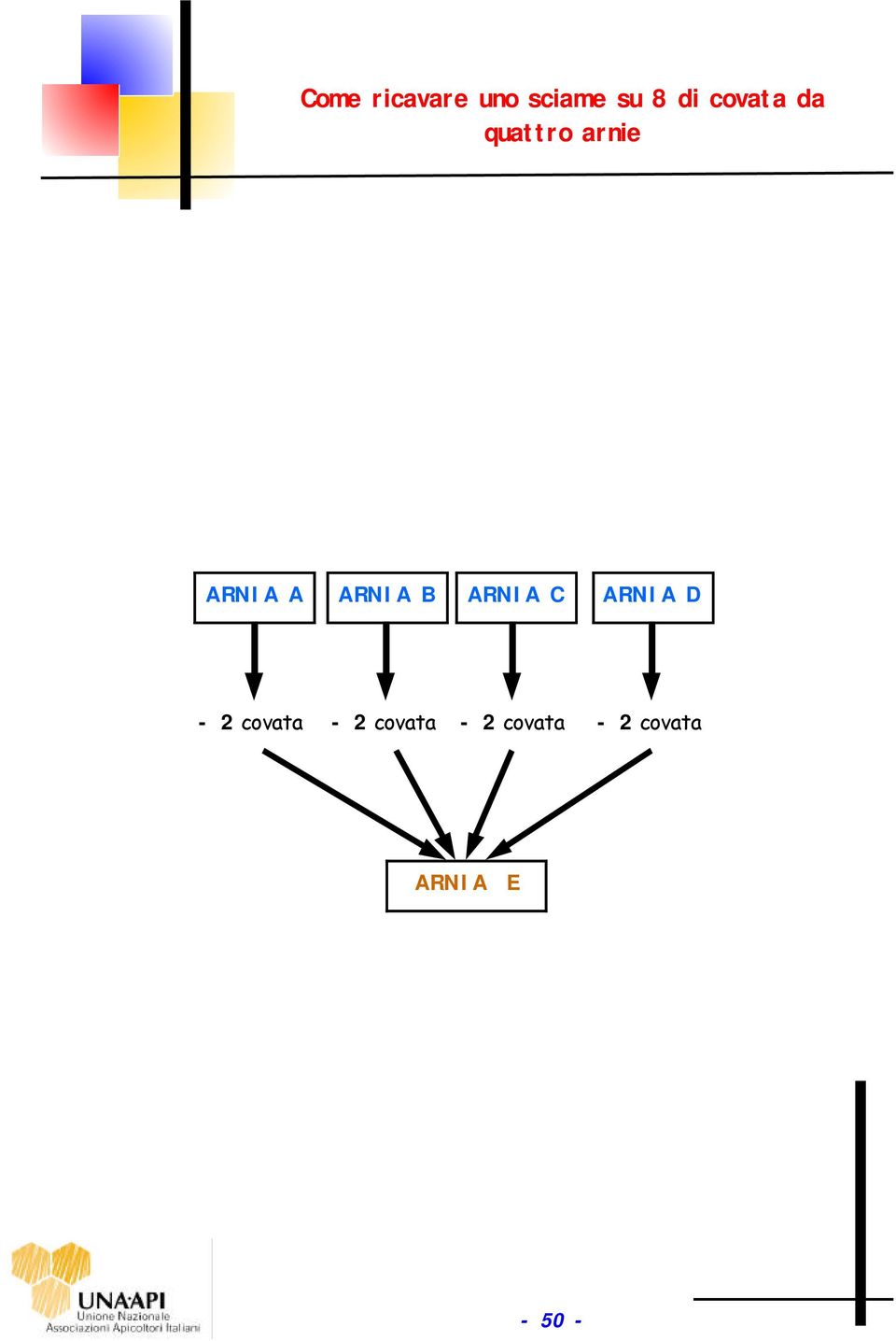 sciame su 8 di covata da quattro arnie ARNIA