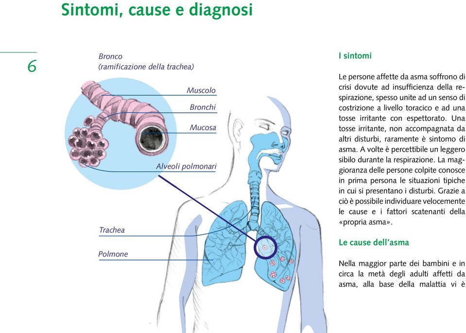 Una tosse irritante, non accompagnata da altri disturbi, raramente è sintomo di asma. A volte è percettibile un leggero sibilo durante la respirazione.