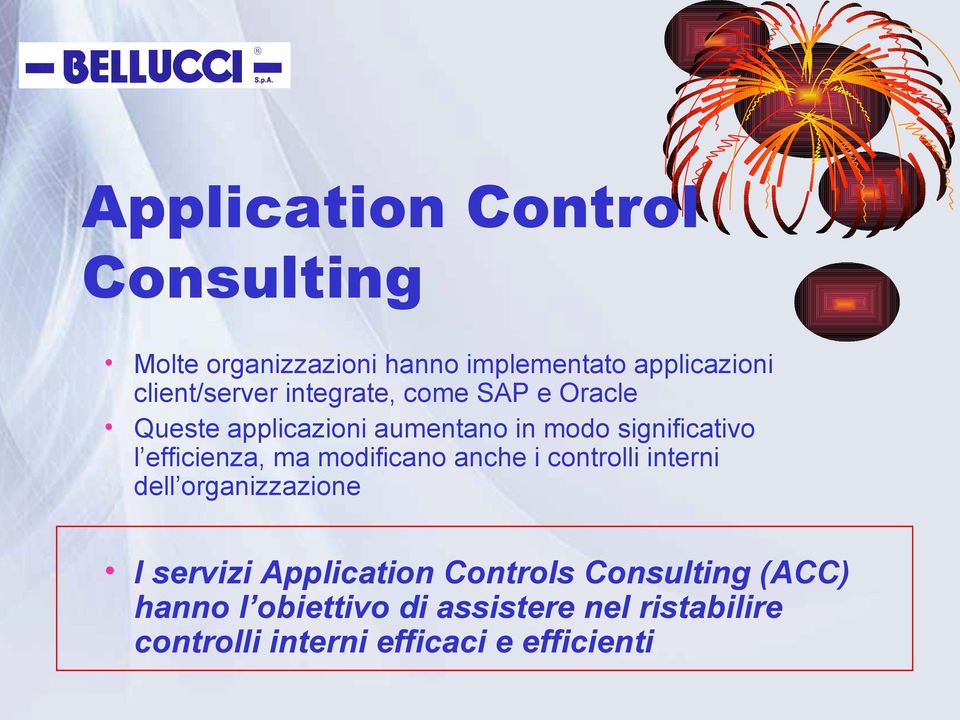 efficienza, ma modificano anche i controlli interni dell organizzazione I servizi Application