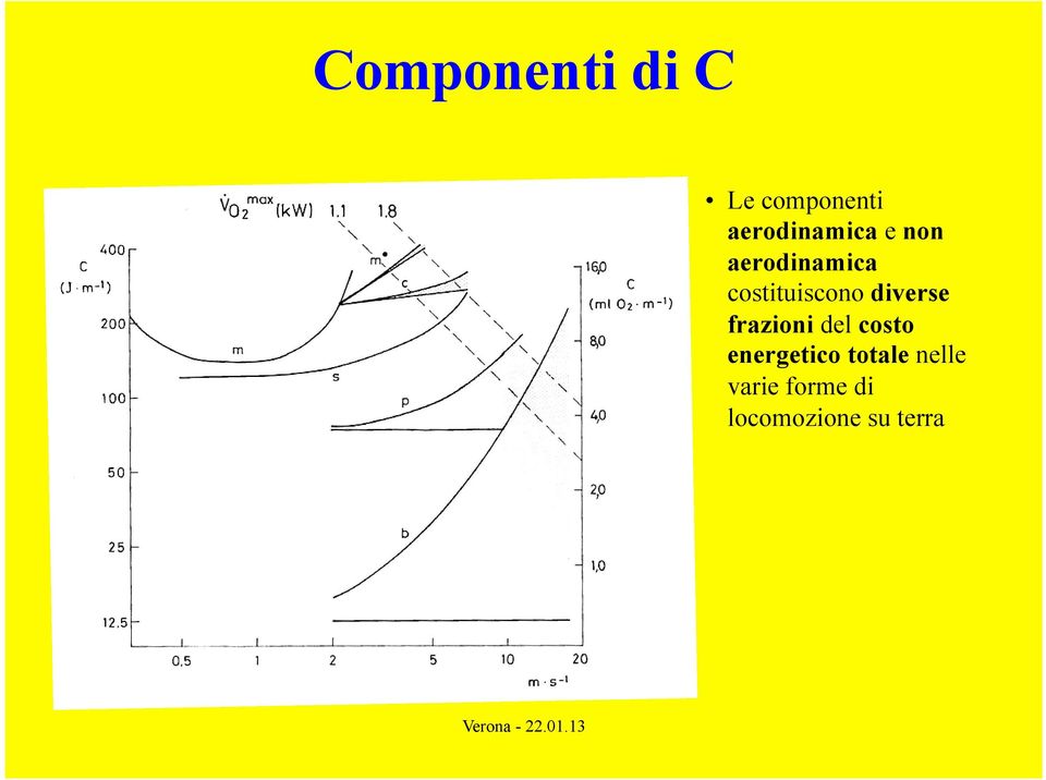 costituiscono diverse frazioni del costo