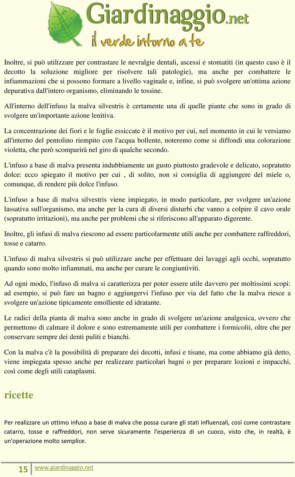 All'interno dell'infuso la malva silvestris è certamente una di quelle piante che sono in grado di svolgere un'importante azione lenitiva.