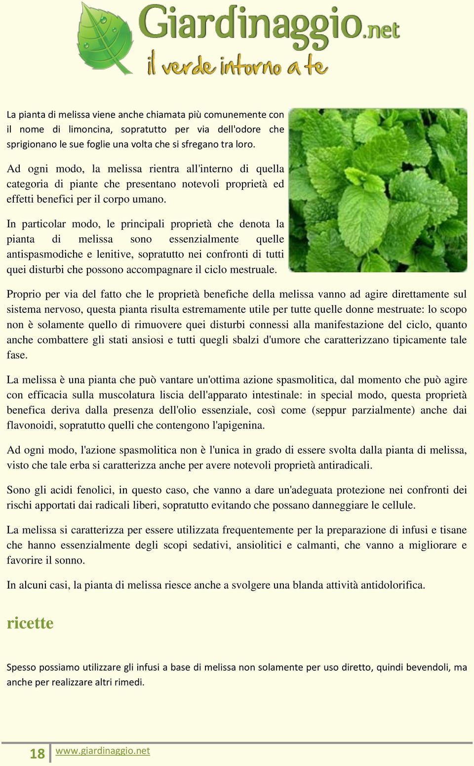 In particolar modo, le principali proprietà che denota la pianta di melissa sono essenzialmente quelle antispasmodiche e lenitive, sopratutto nei confronti di tutti quei disturbi che possono