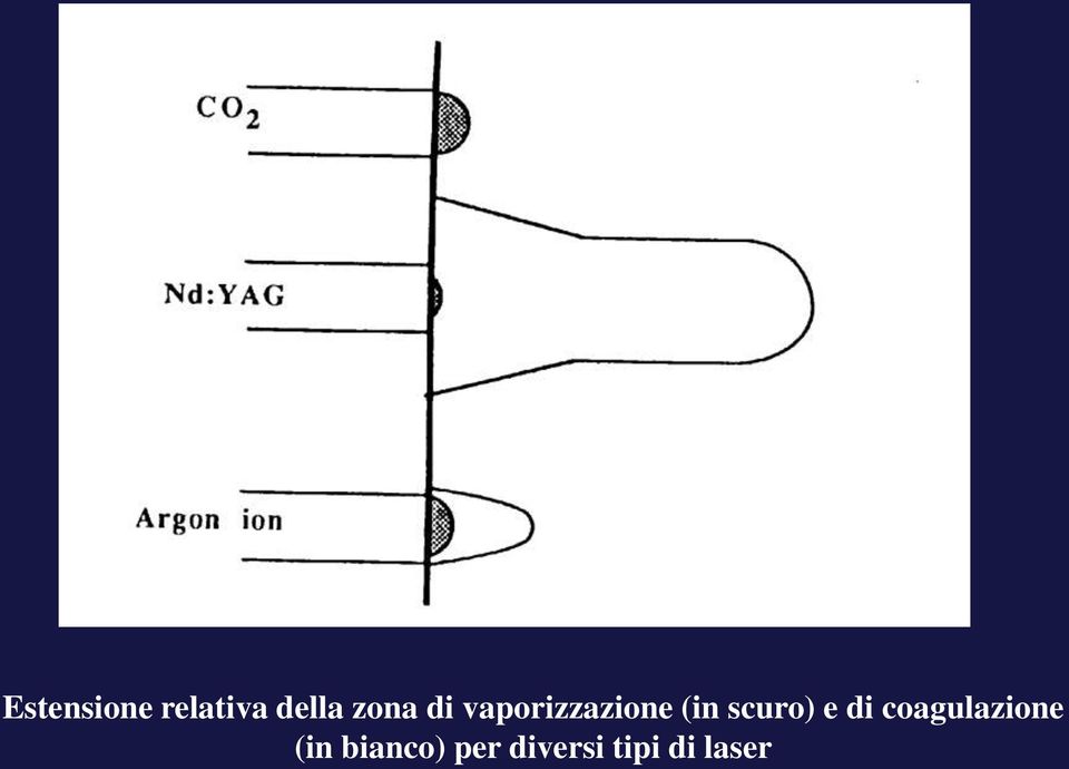 scuro) e di coagulazione (in