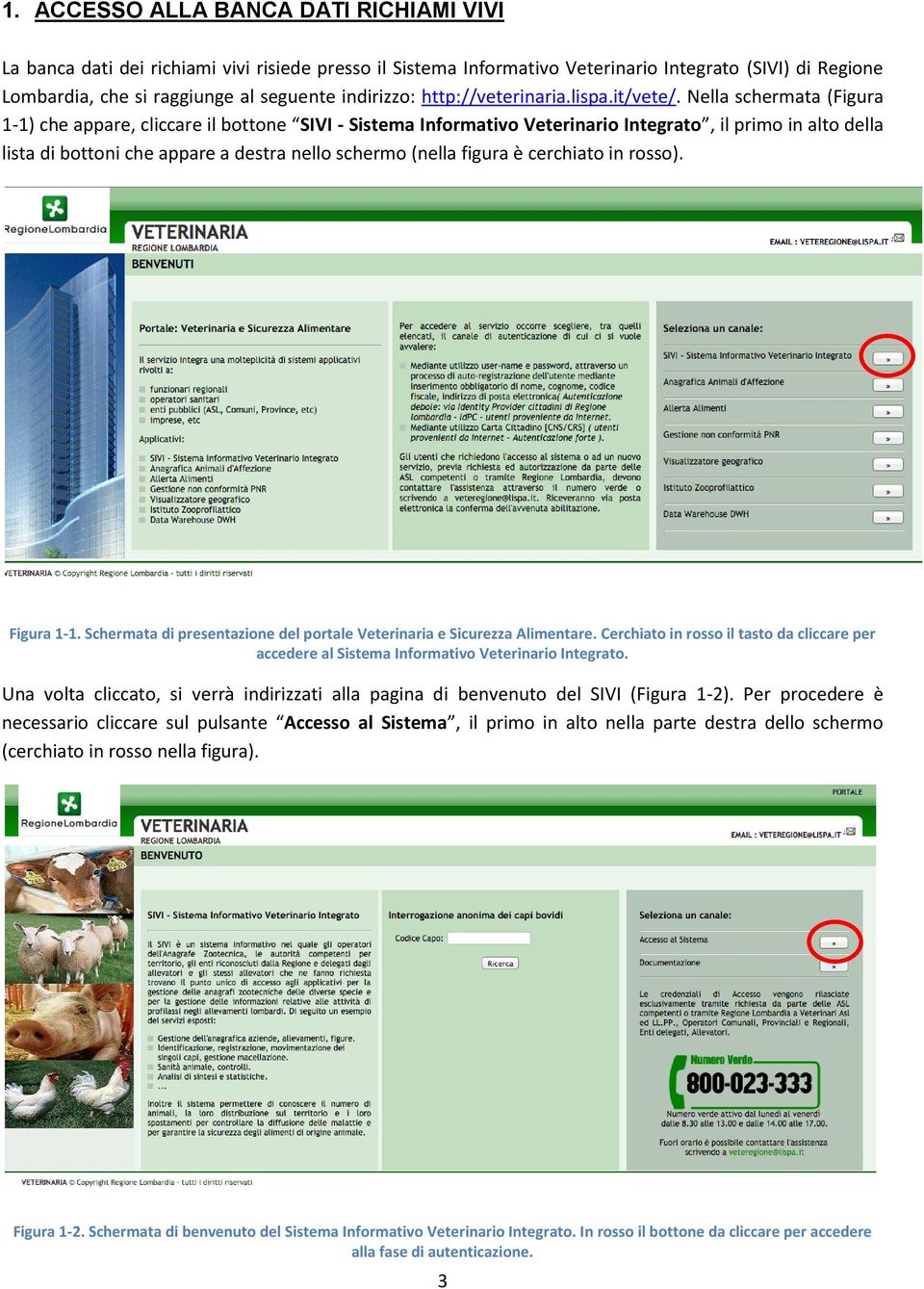 Nella schermata (Figura 1-1) che appare, cliccare il bottone SIVI - Sistema Informativo Veterinario Integrato, il primo in alto della lista di bottoni che appare a destra nello schermo (nella figura