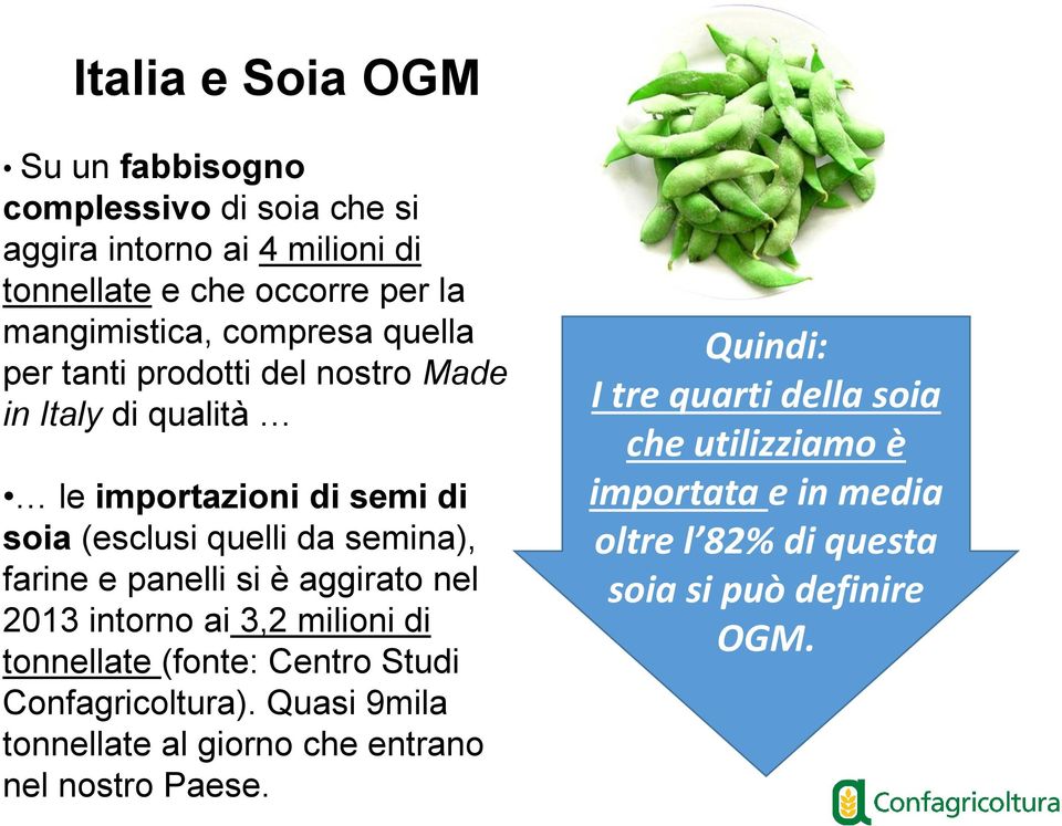 panelli si è aggirato nel 2013 intorno ai 3,2 milioni di tonnellate (fonte: Centro Studi Confagricoltura).