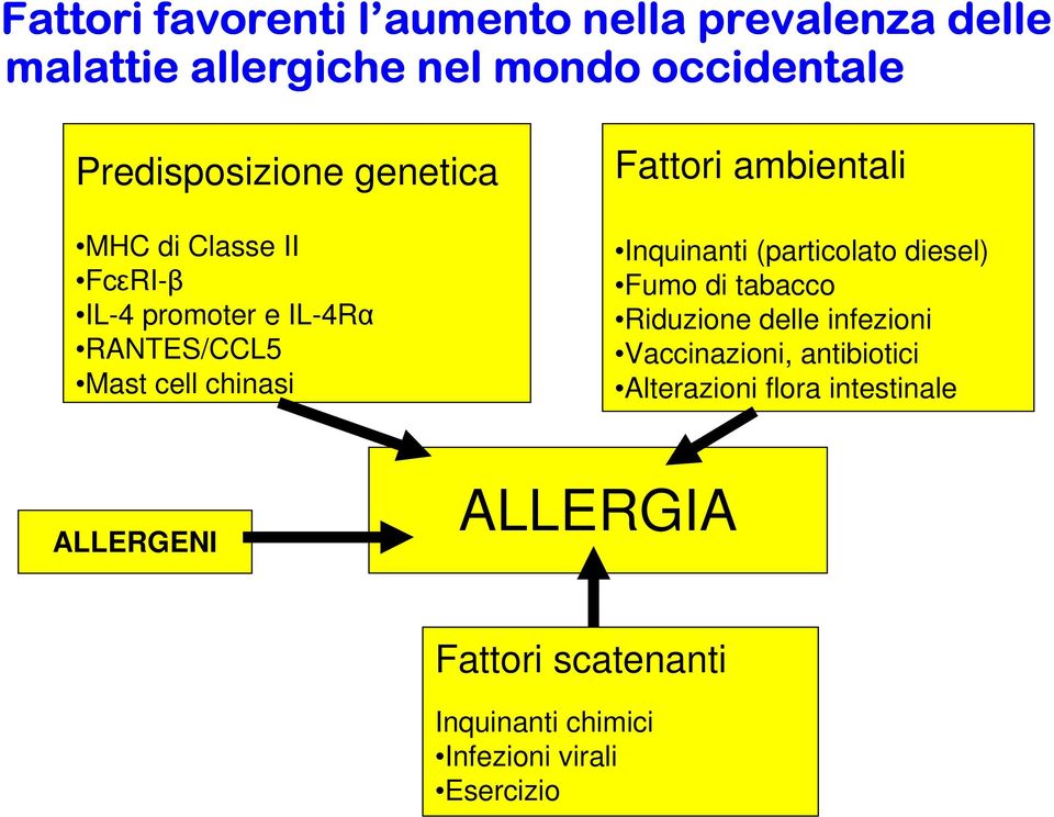 Fattori ambientali Inquinanti (particolato diesel) Fumo di tabacco Riduzione delle infezioni Vaccinazioni,