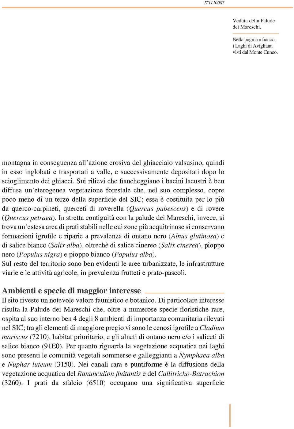 Sui rilievi che fiancheggiano i bacini lacustri è ben diffusa un eterogenea vegetazione forestale che, nel suo complesso, copre poco meno di un terzo della superficie del SIC; essa è costituita per