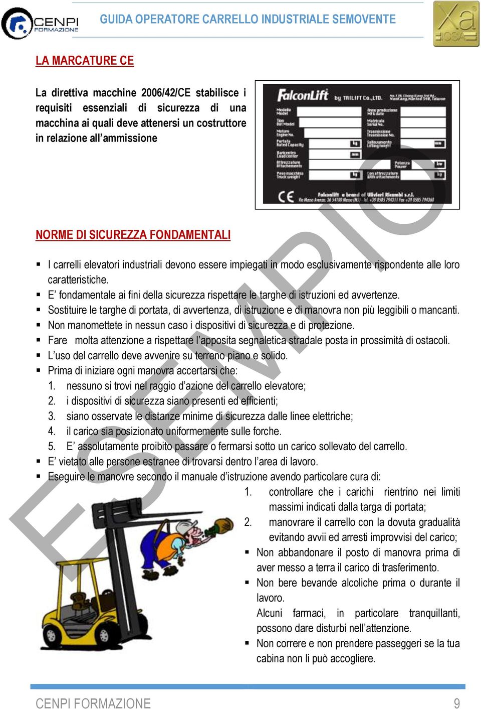 E fondamentale ai fini della sicurezza rispettare le targhe di istruzioni ed avvertenze. Sostituire le targhe di portata, di avvertenza, di istruzione e di manovra non più leggibili o mancanti.