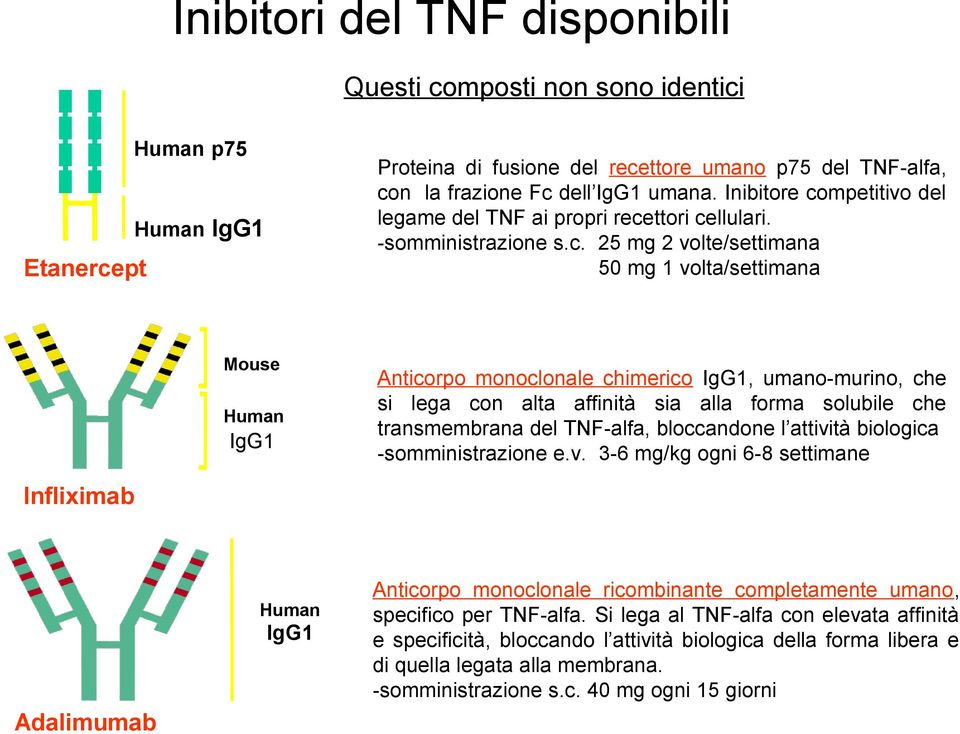 mpetitivo del legame del TNF ai propri rece