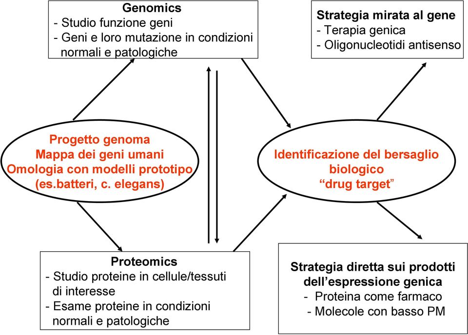elegans) Proteomics - Studio proteine in cellule/tessuti di interesse - Esame proteine in condizioni normali e patologiche