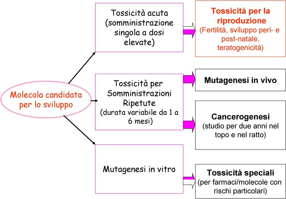 riproduzione (Fertilità, sviluppo peri- e post-natale, teratogenicità) Mutagenesi in vivo Cancerogenesi