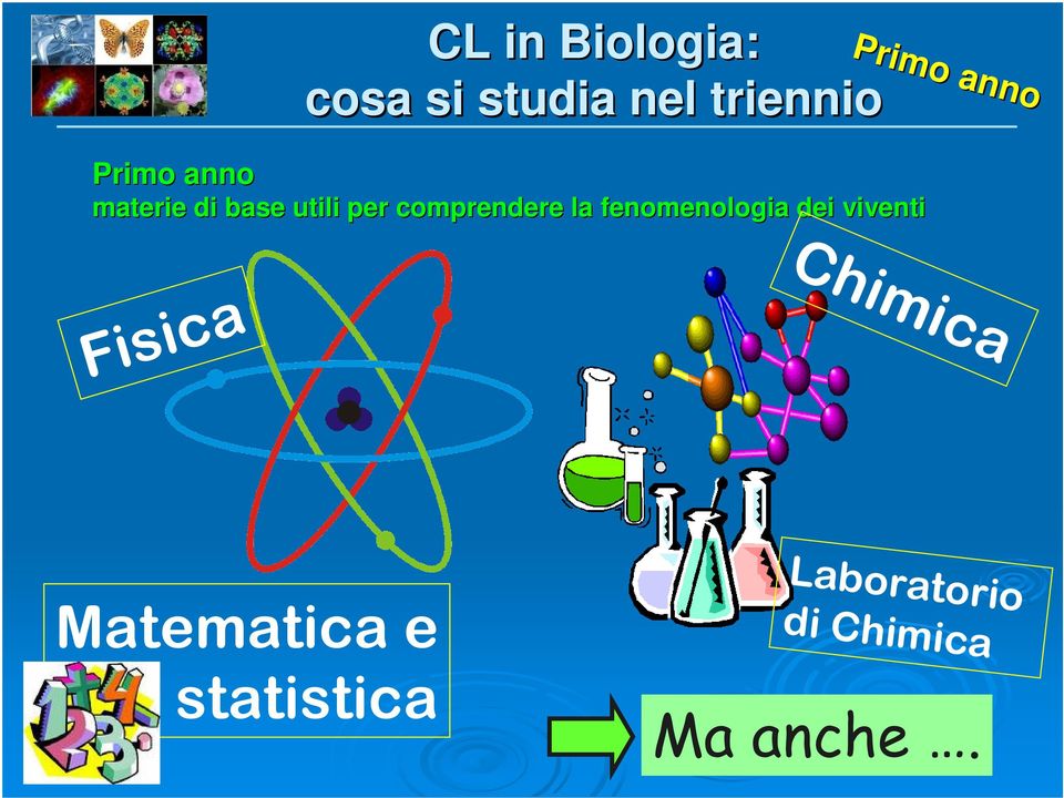 fenomenologia dei viventi Primo anno Fisica